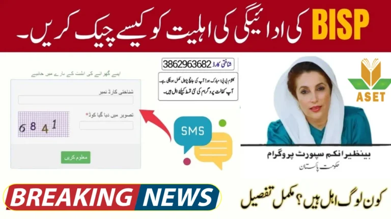 BISP 8171 Eligibility Check 2025 – Online and Offline Methods ExplainedBISP 8171 Eligibility Check 2025 – Online and Offline Methods Explained
